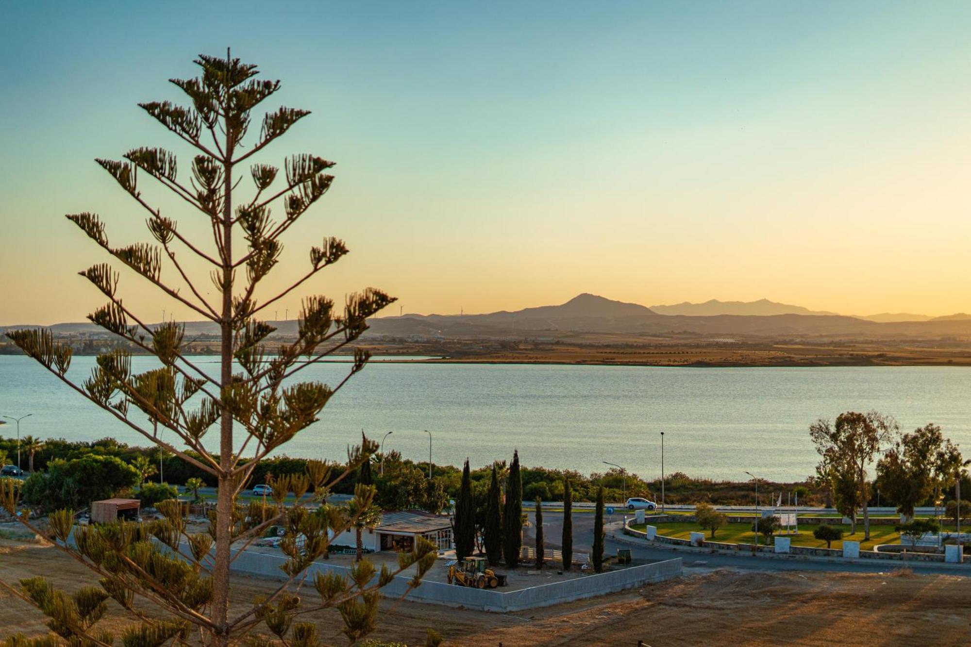 Majestic Sunset Salt Lake Views 300M From Beach Ларнака Екстериор снимка